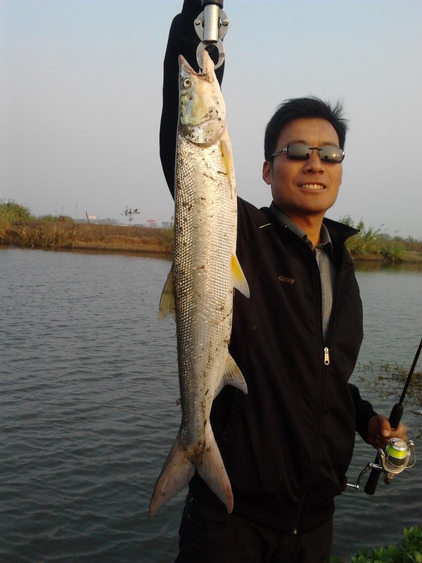 2011-11-14 15.59.15.jpg