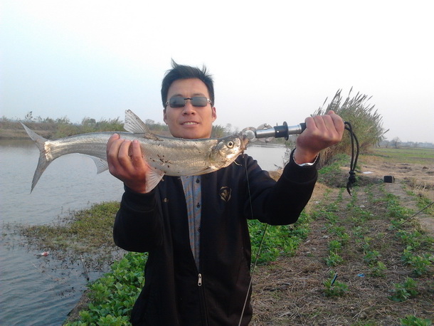 2011-11-14 16.20.14.jpg