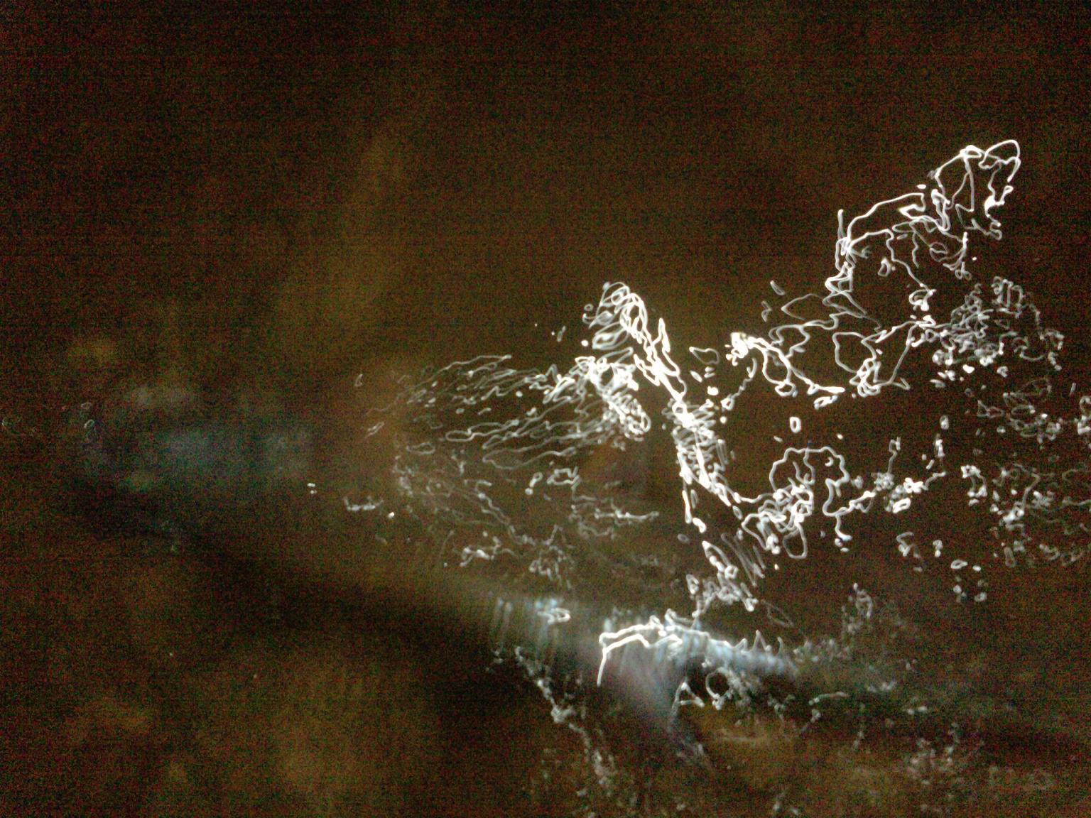 P2254_12-10-11.JPG