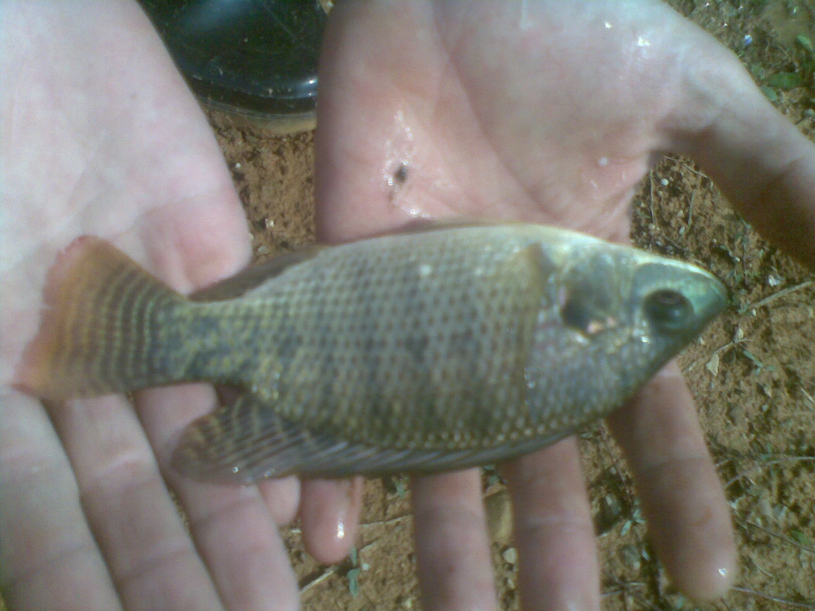 20111114(008).jpg