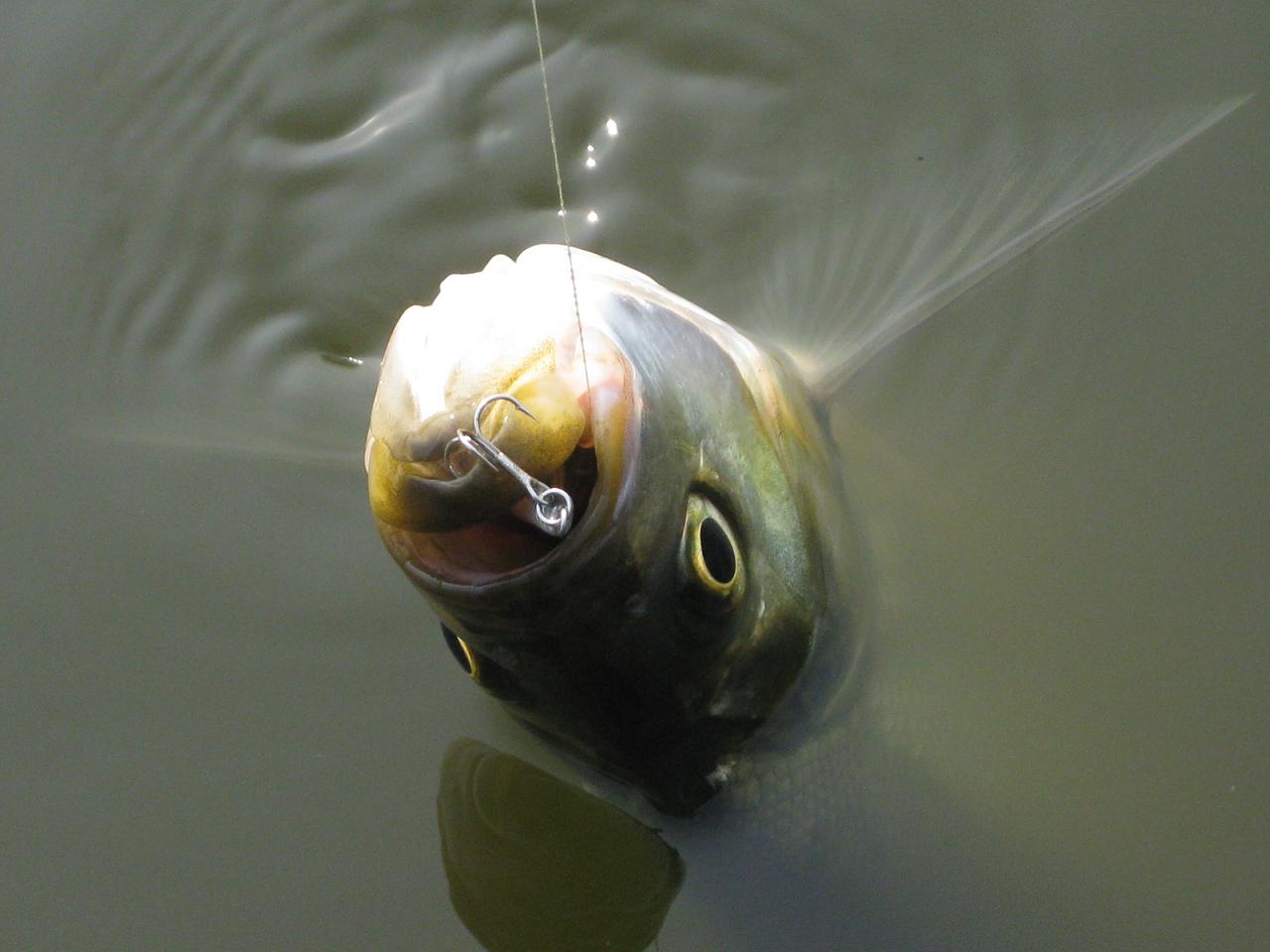 IMG_4821.jpg