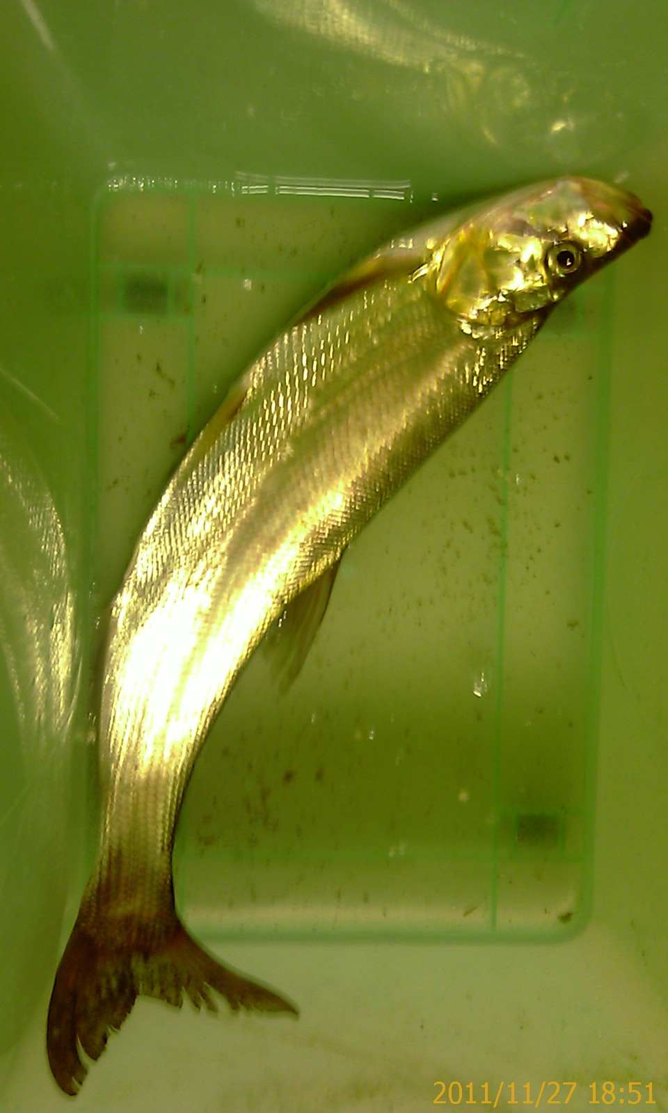 IMAG0279.jpg