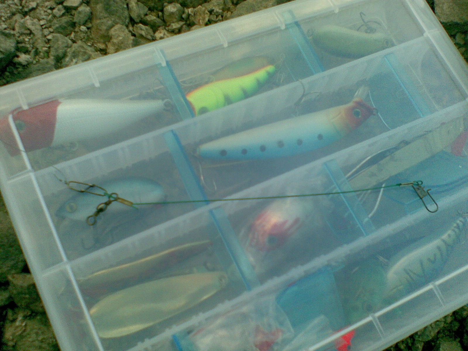 20111130_006.jpg