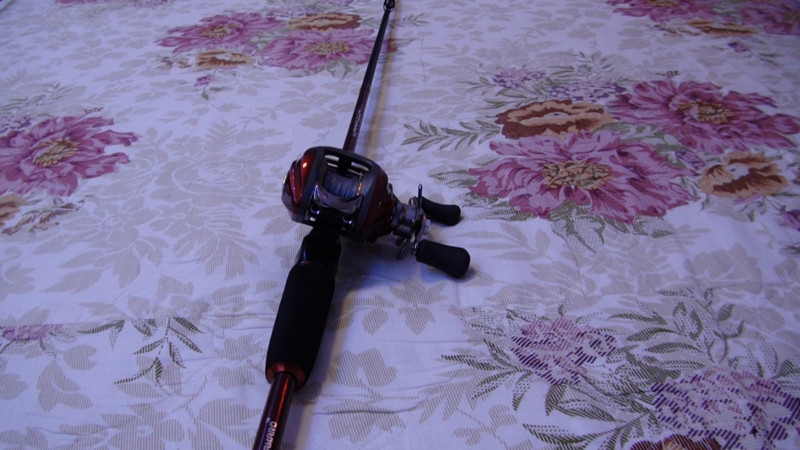 DSC00995_.jpg