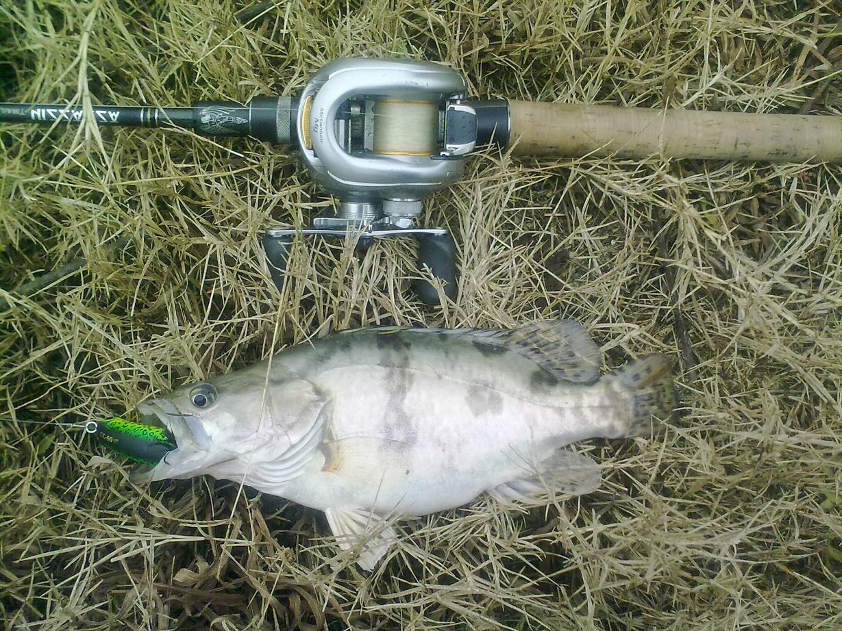 20111215515.jpg