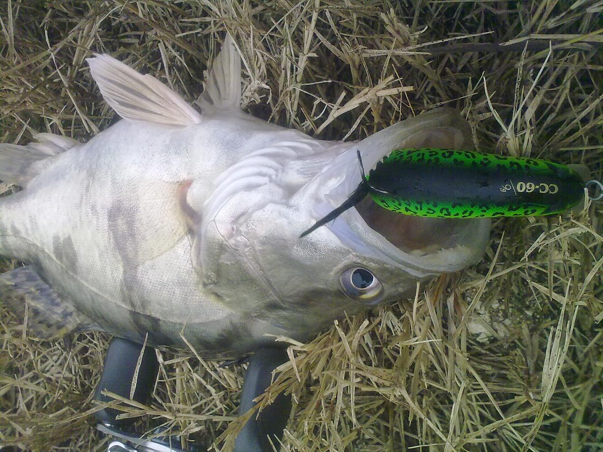 20111215516.jpg