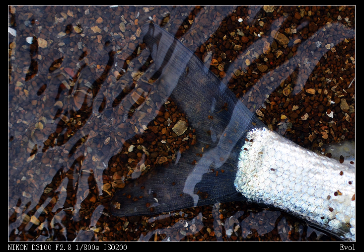 DSC_5540.JPG