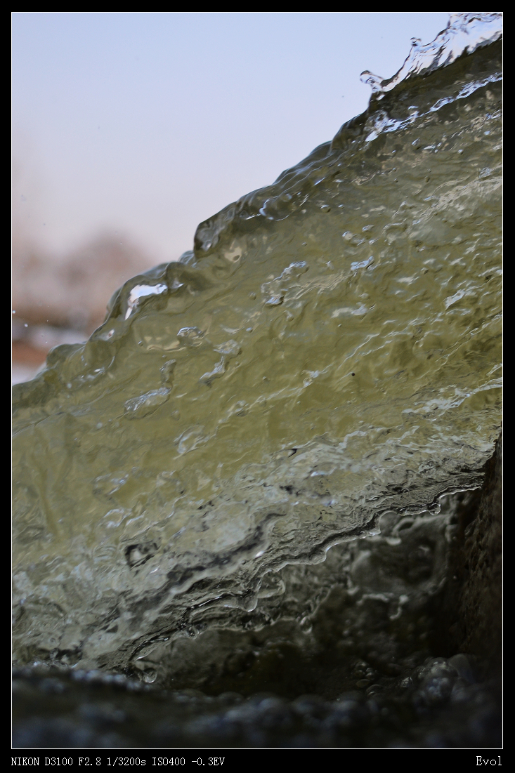 DSC_5589.JPG