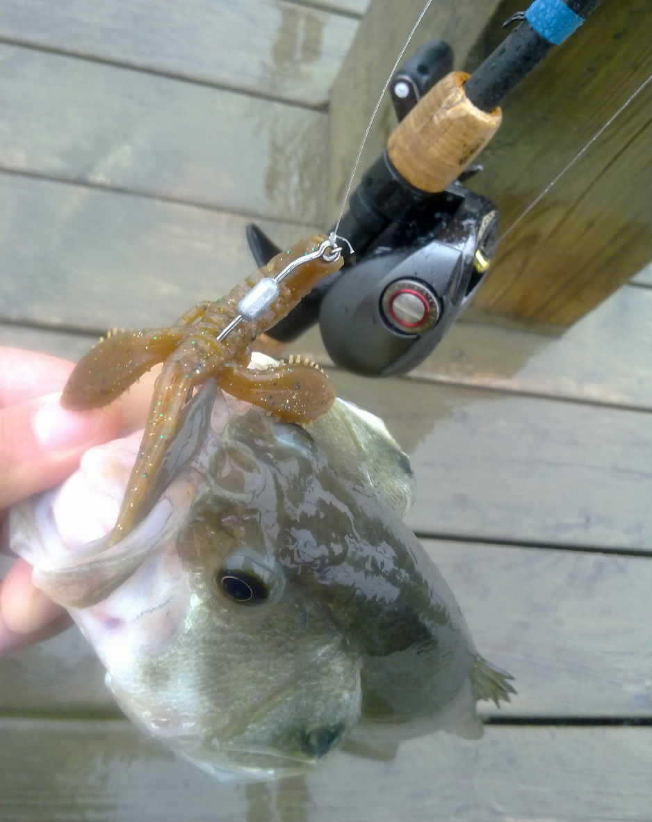 20111207439.jpg