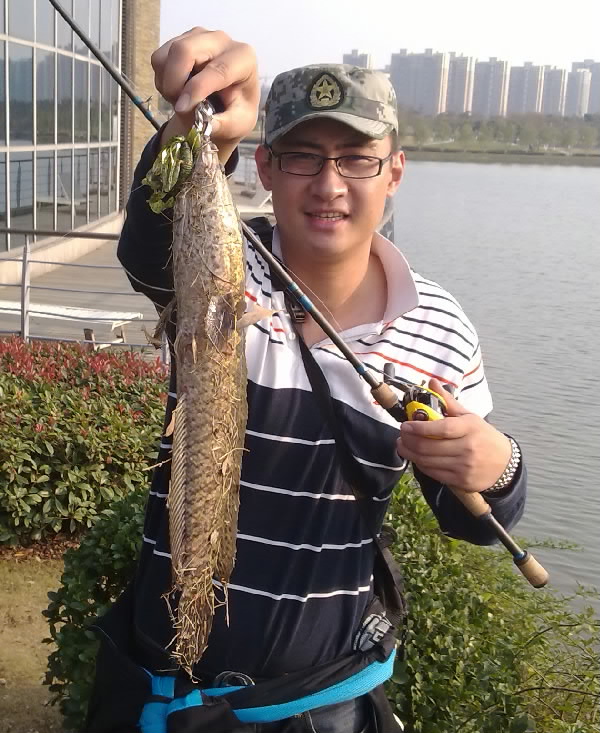 20111128Ʊ.jpg