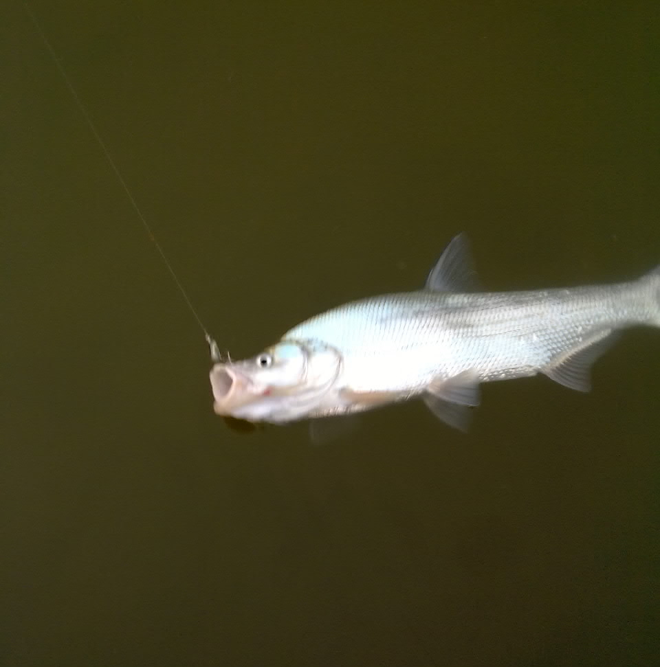 20111230485.jpg