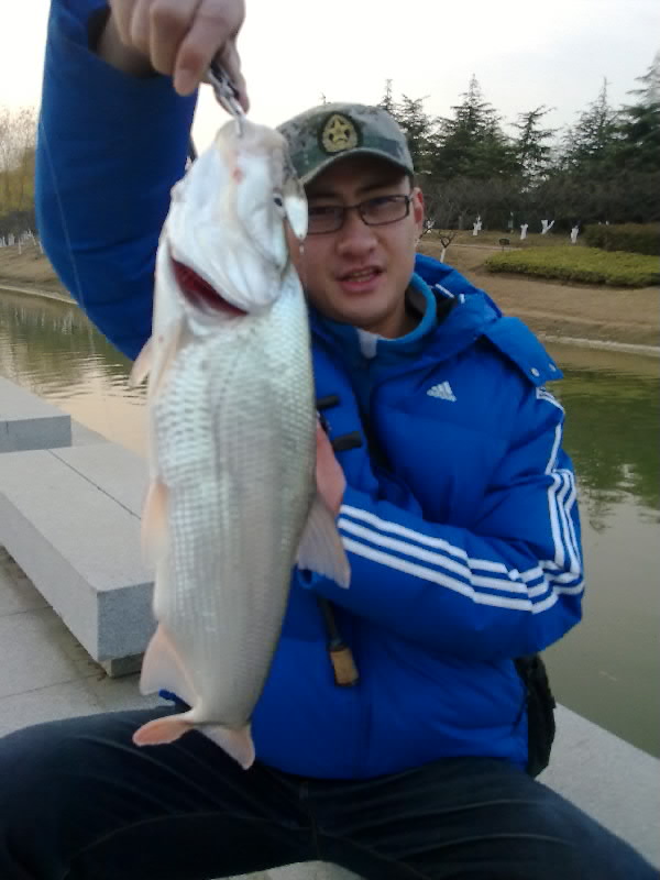 20111230487.jpg