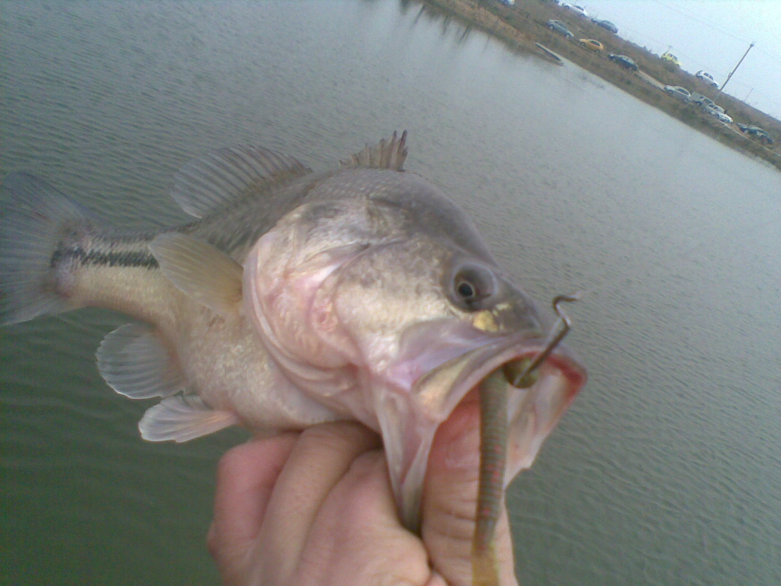 20120101(004).jpg