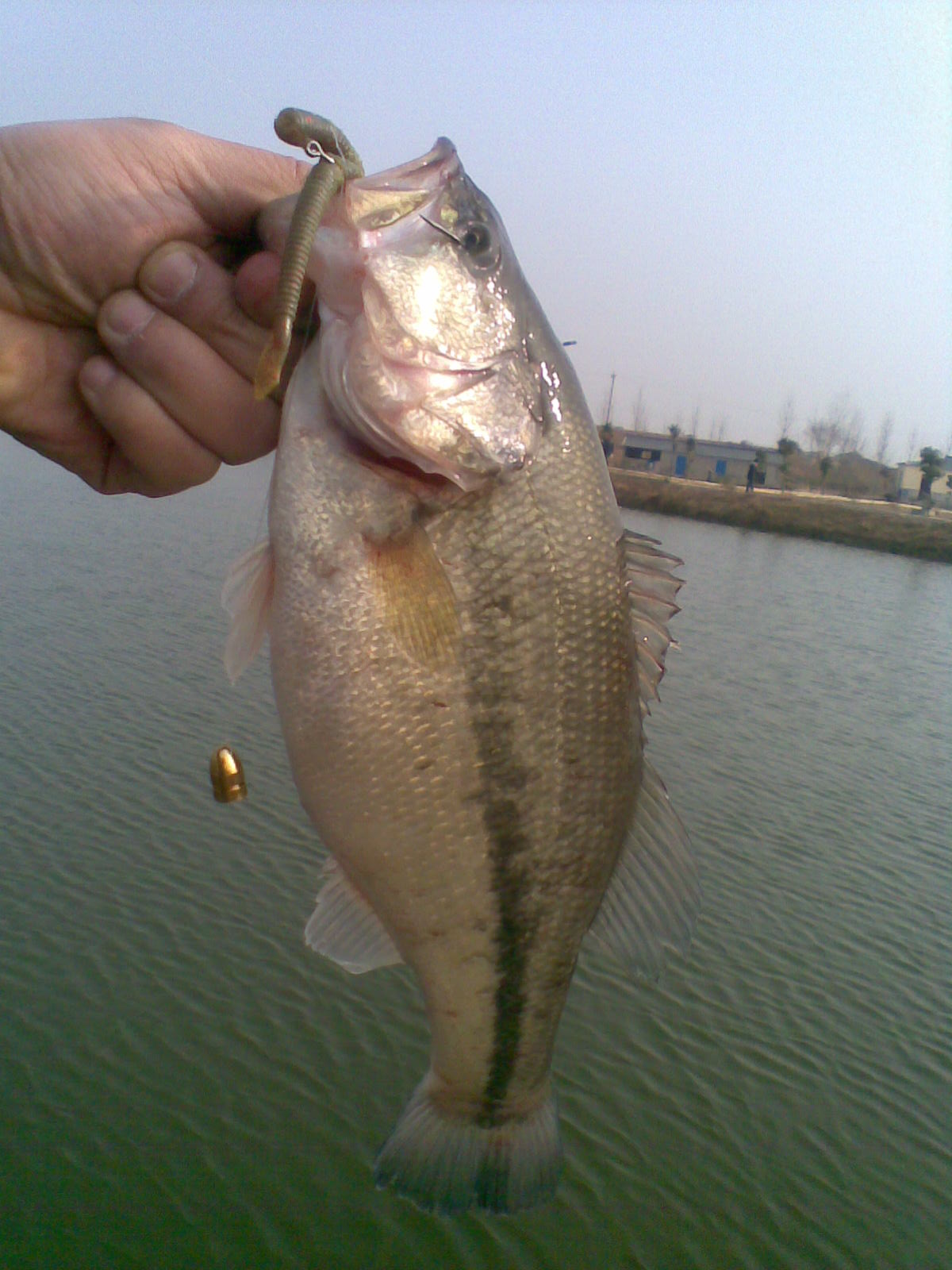 20120101(007).jpg