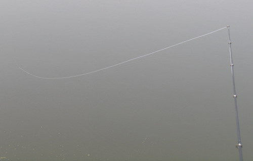 WQ001.jpg