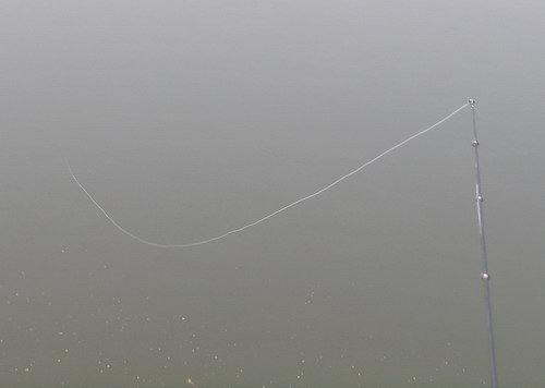 WQ004.jpg