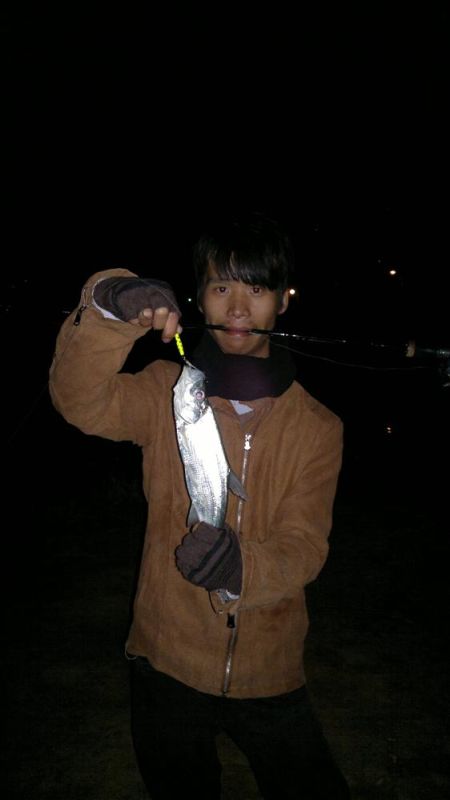 02.jpg