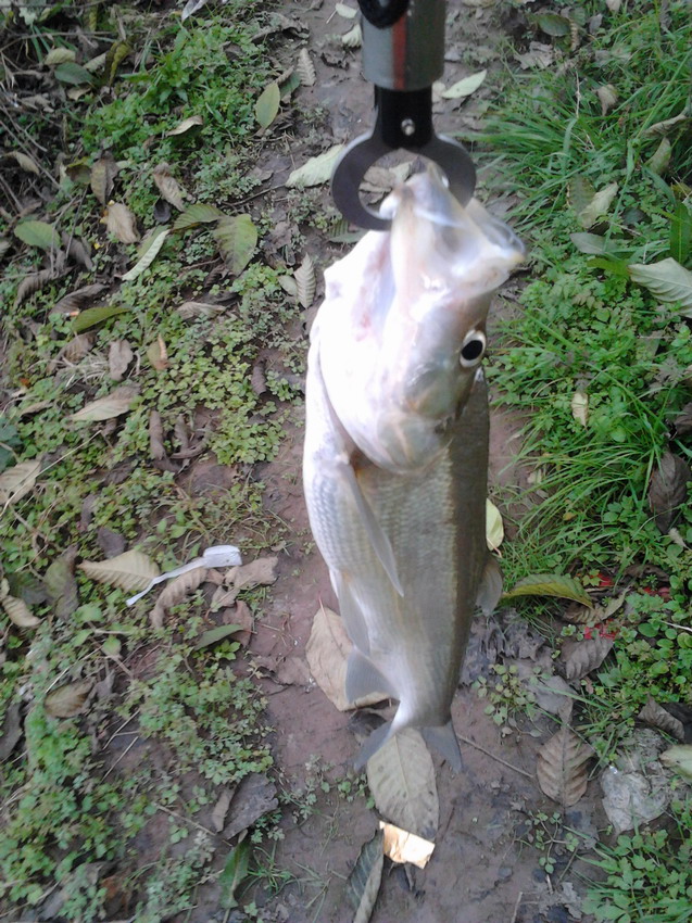 2012-01-10 15.14.46.jpg
