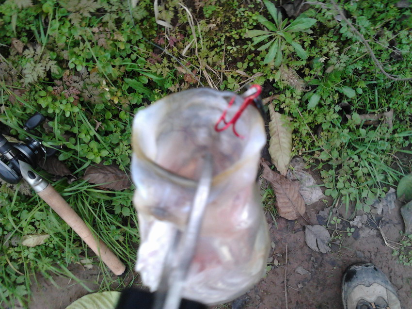 2012-01-10 15.41.19.jpg