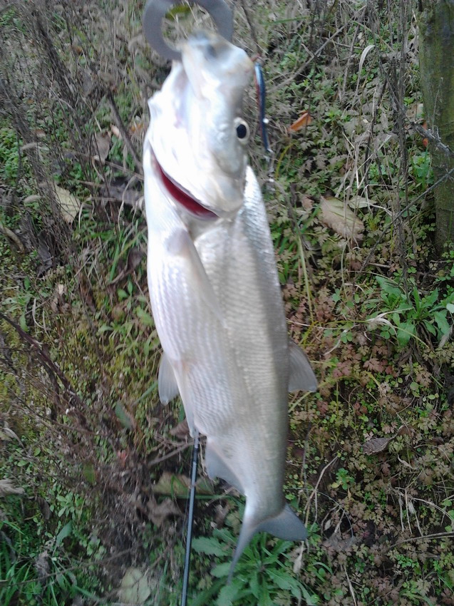 2012-01-10 15.41.27.jpg
