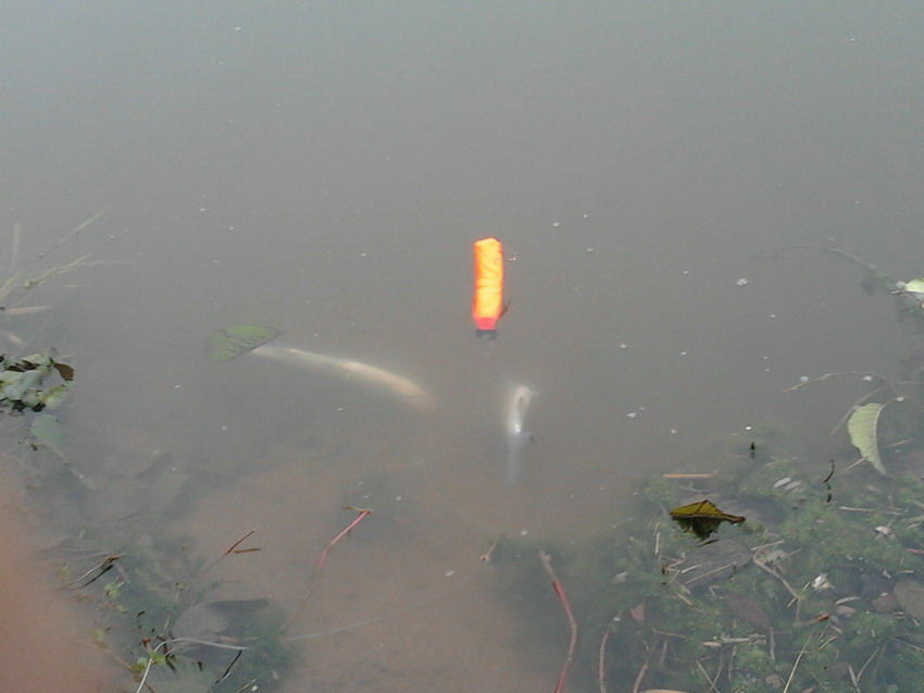 2012-01-10 15.45.36.jpg