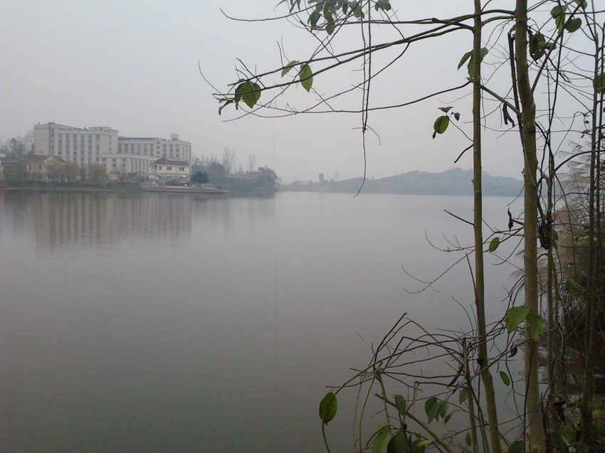 2012-01-10 15.46.07.jpg