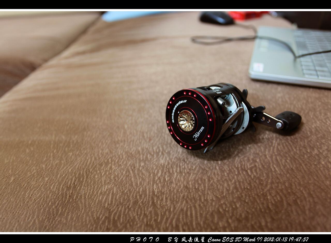 IMG_1404a.jpg