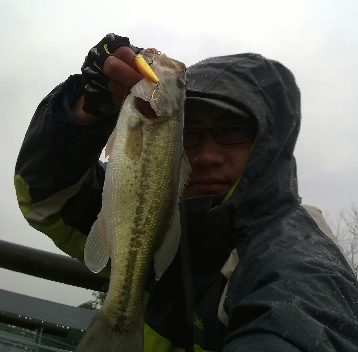20120118551.jpg