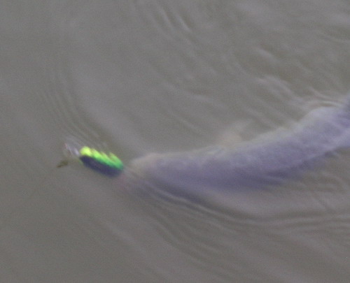 DSCN1965.jpg