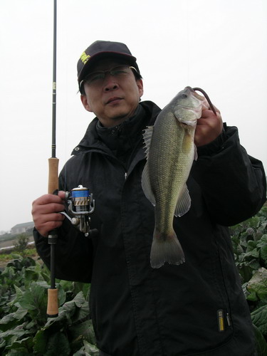 DSCN1952.jpg