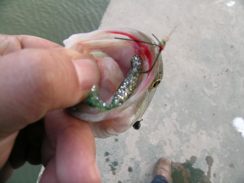 DSCN2032.jpg