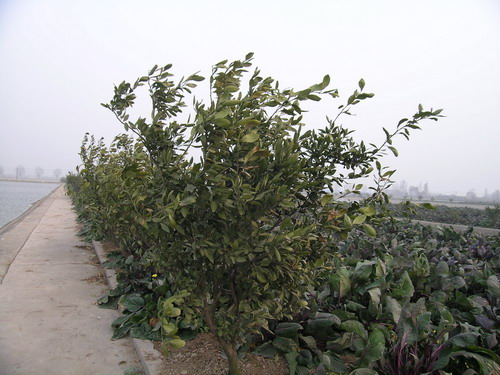 DSCN2034.jpg