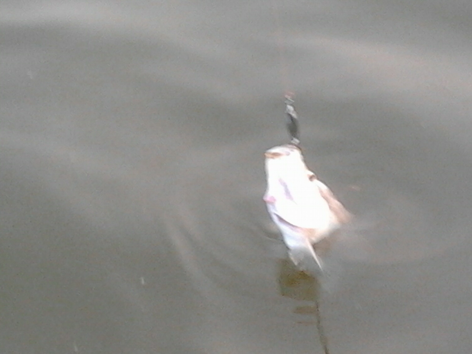 2012-02-03 17.54.36.jpg