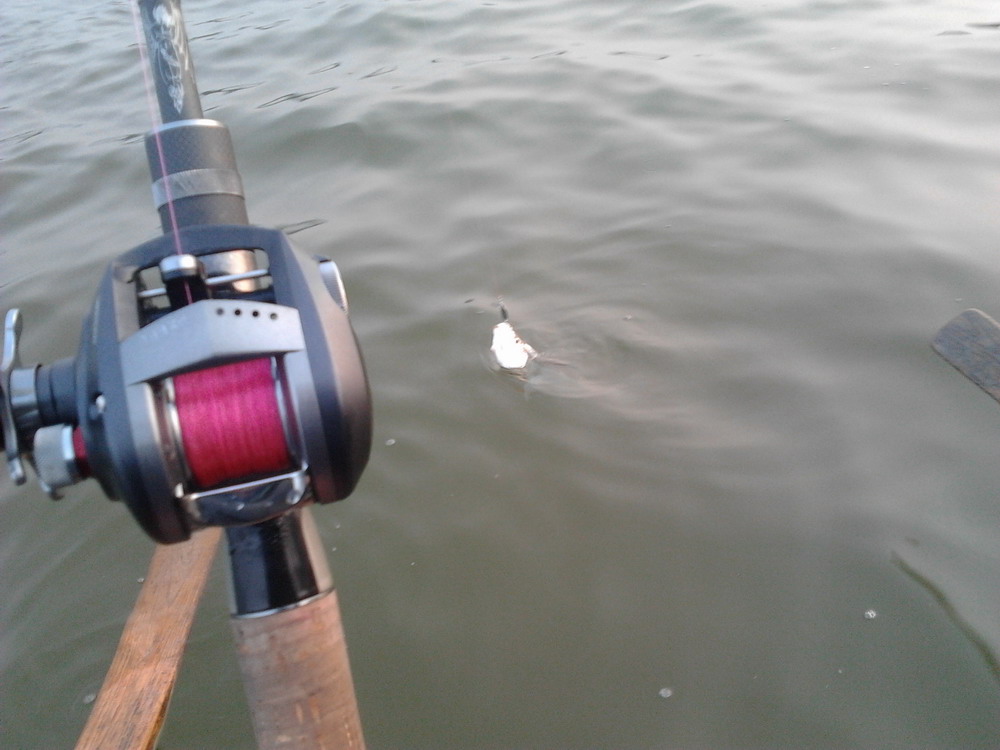 2012-02-03 17.54.46.jpg