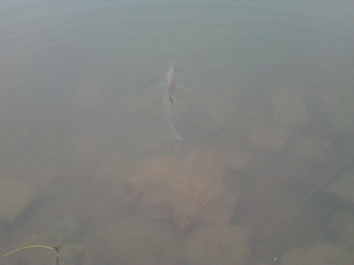 2012-02-06 17.50.59.jpg
