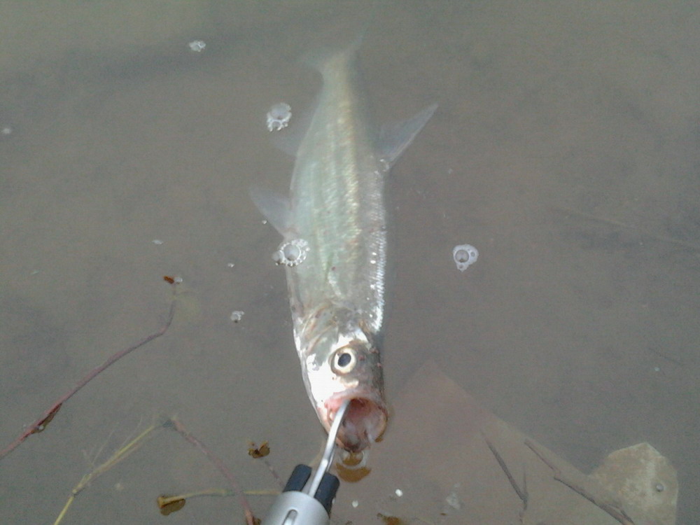 2012-02-06 17.49.22.jpg
