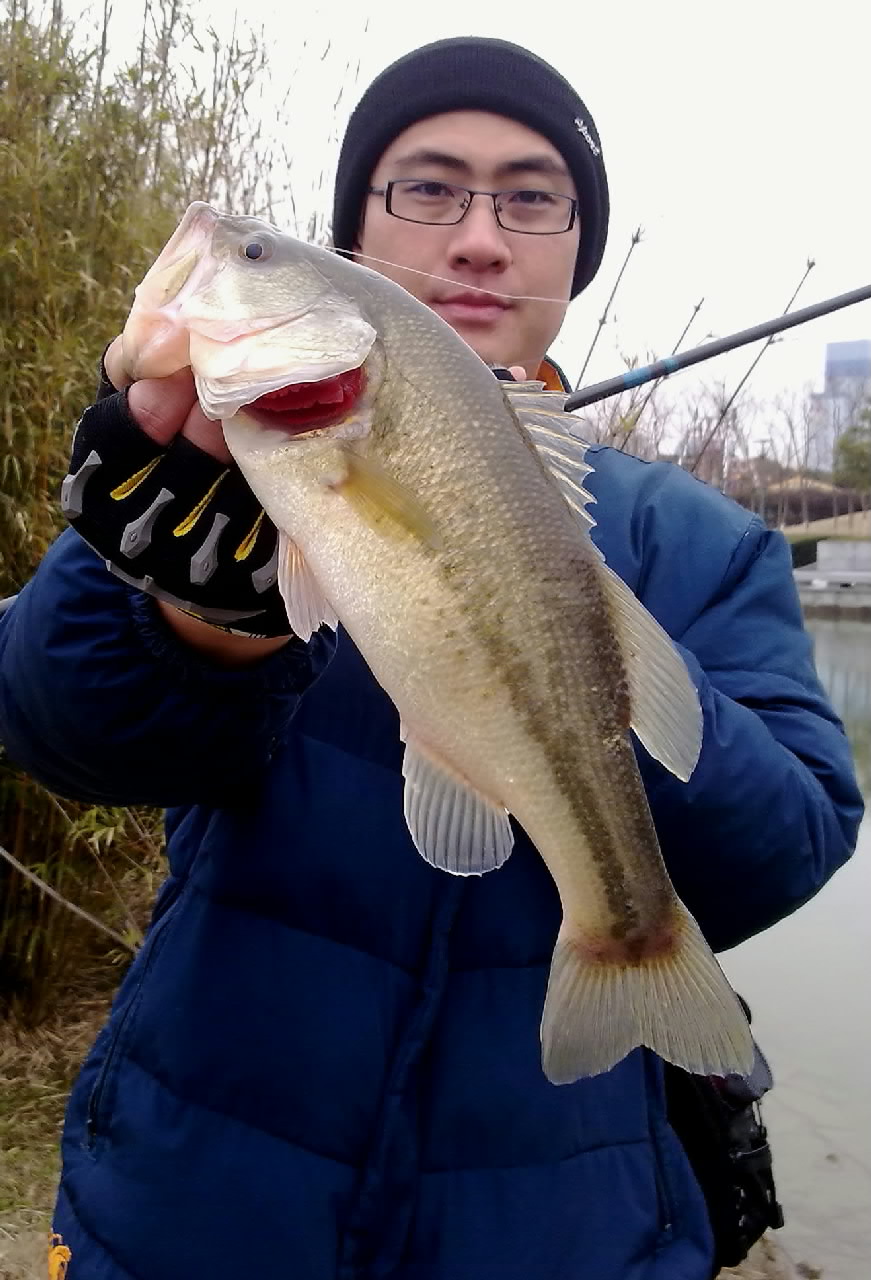 20120216615.jpg