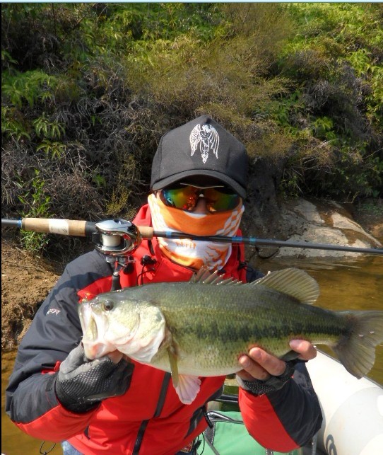 BASS10.jpg