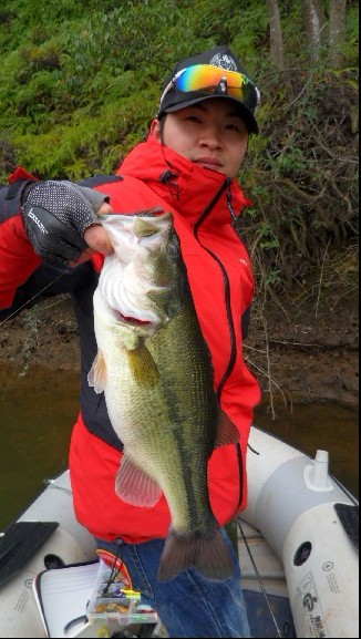 BASS14.jpg