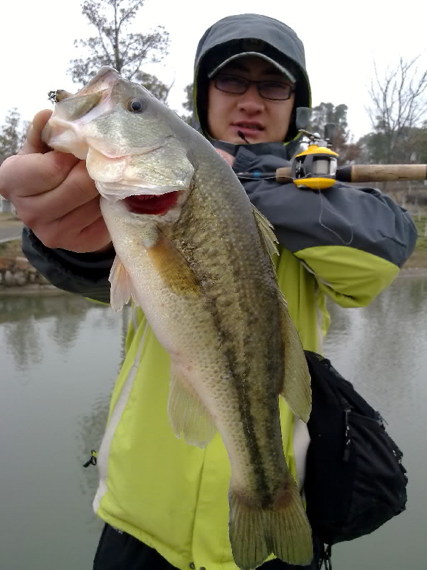 20120223654.jpg