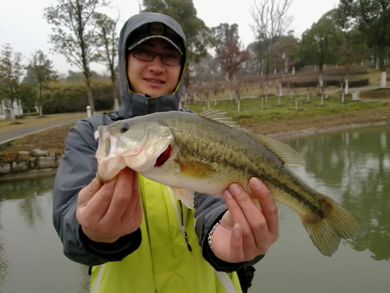 20120223657.jpg