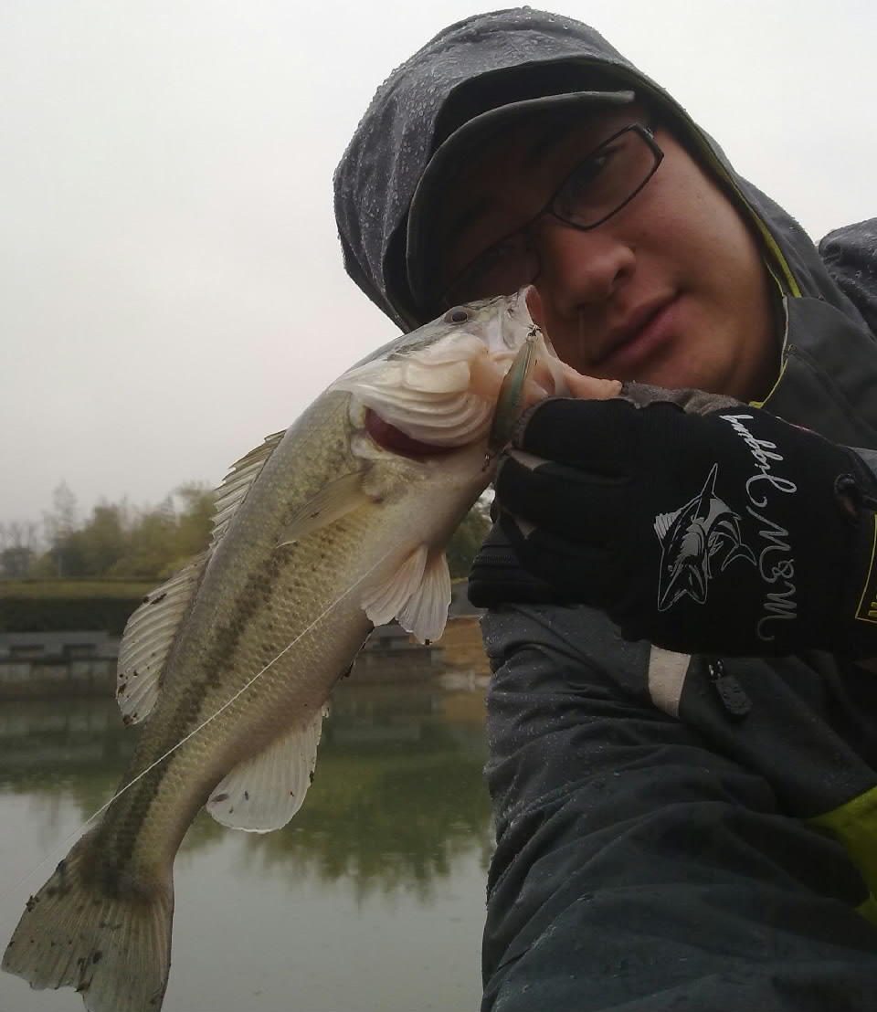 20120222628.jpg