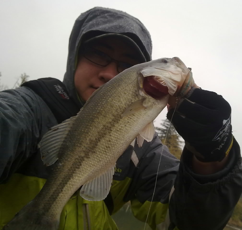 20120222629.jpg