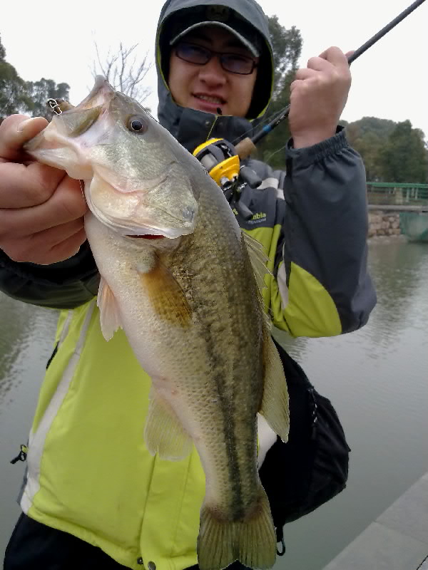 20120223653.jpg