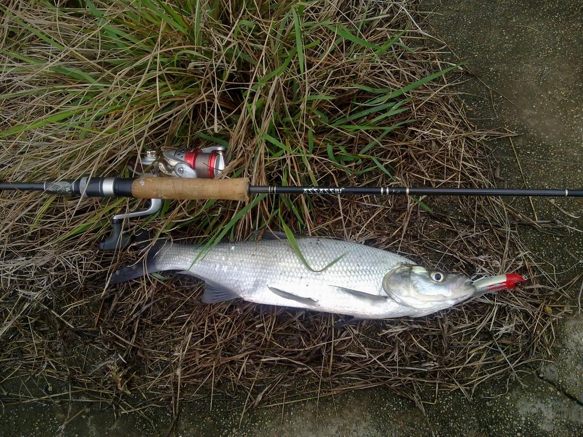 201202241103.jpg