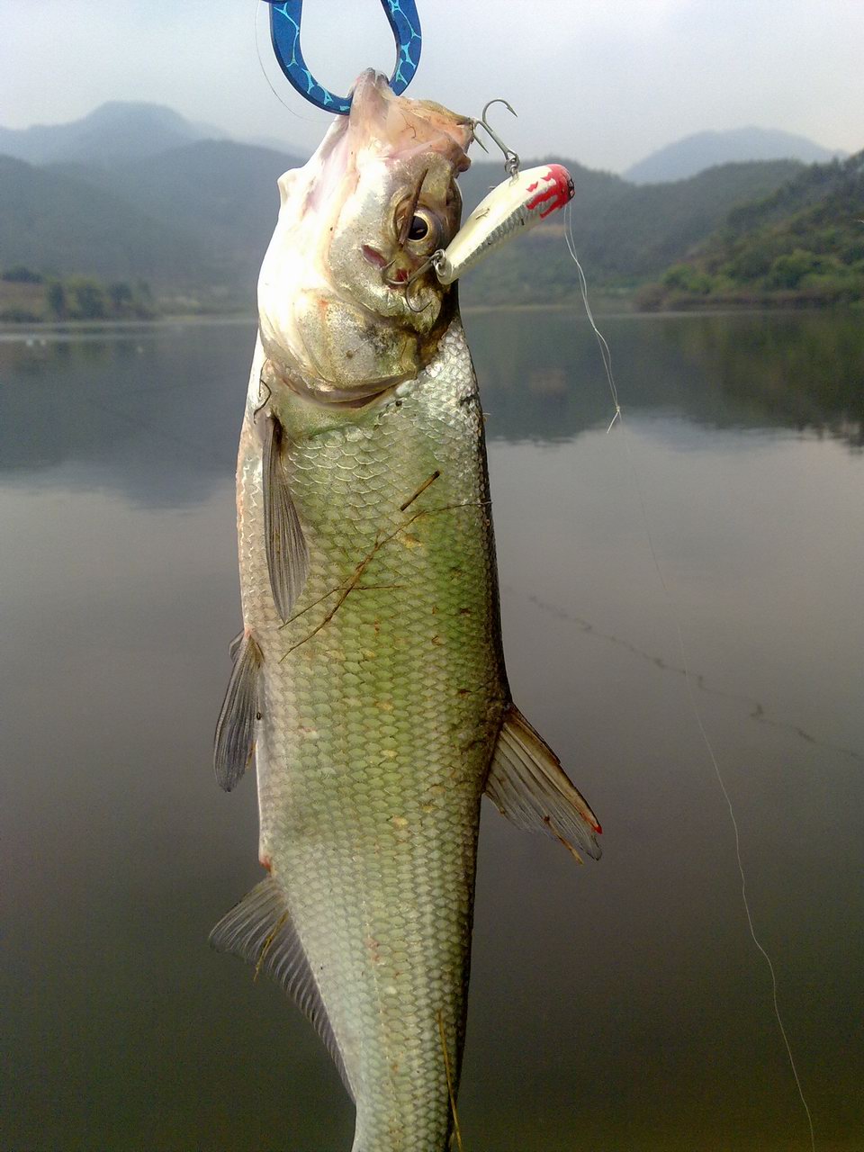 201202241104.jpg