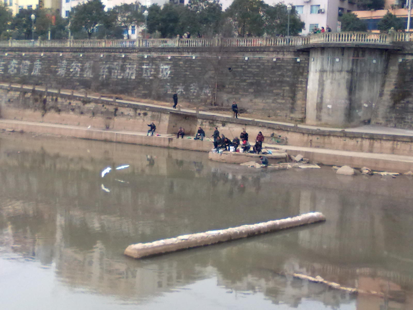 20120301310.jpg