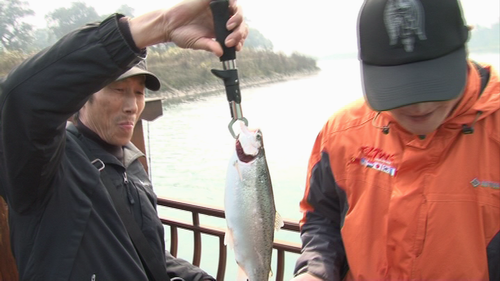 20120301095210.jpg
