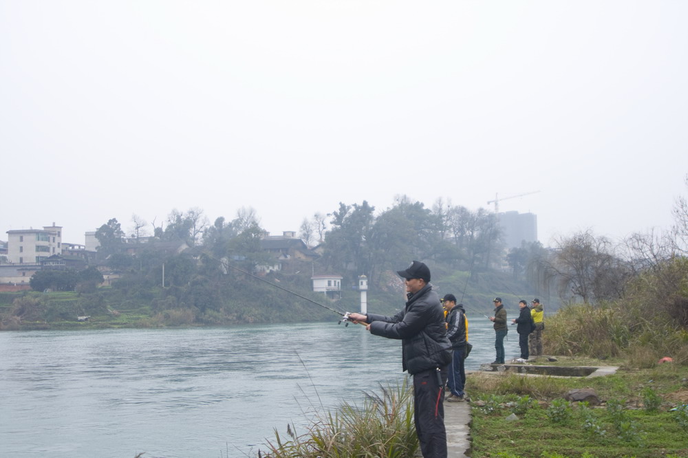 _MG_9334.jpg