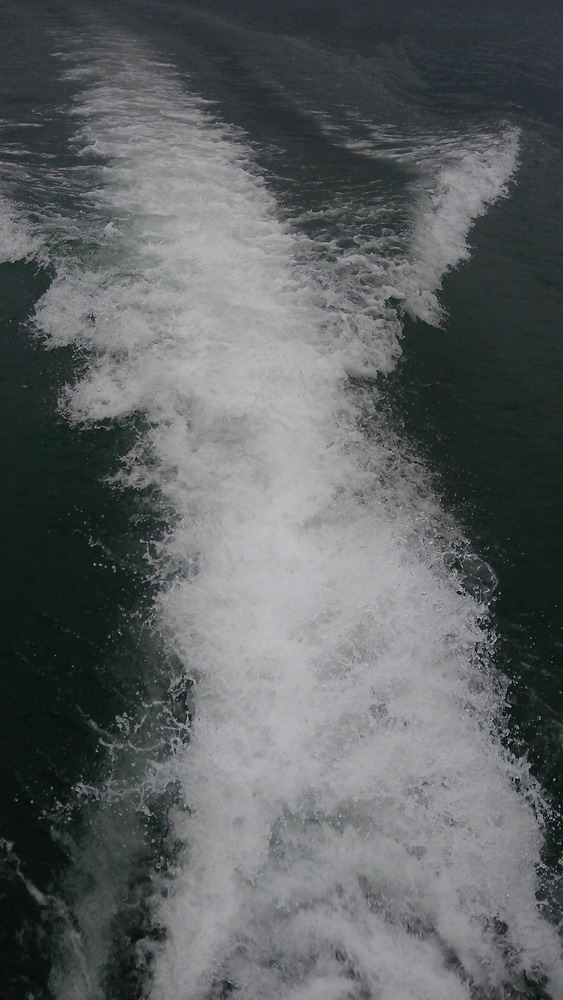 IMAG0022.jpg
